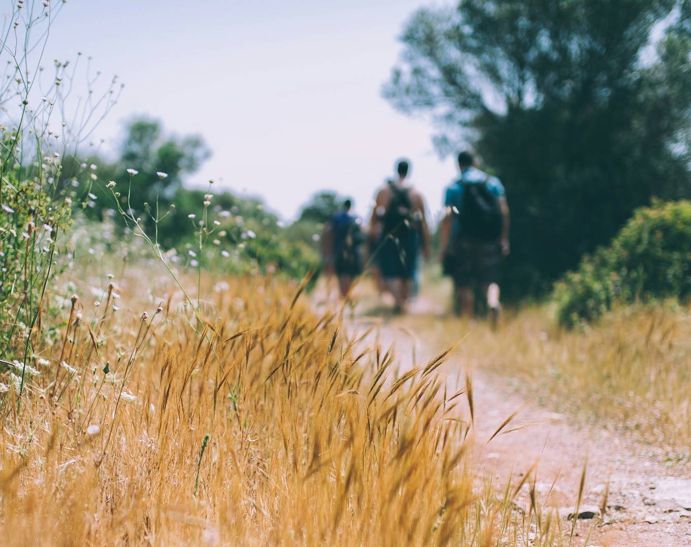 Sportlich voll im Trend beim Wandern