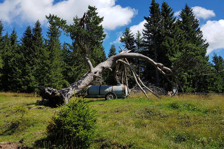 Wandern – 000009